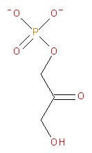 Dihydroxyacetonfosfaat